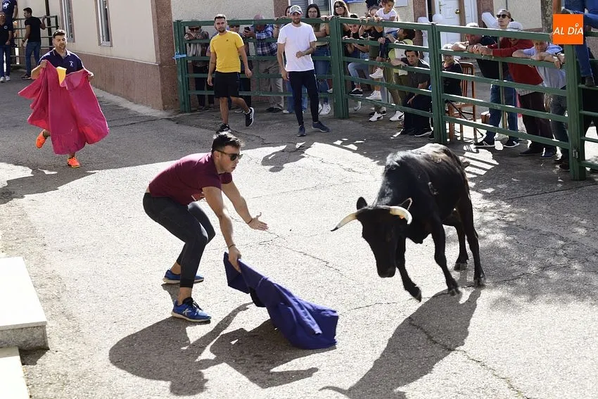 vaquillas aldehuela de yeltes