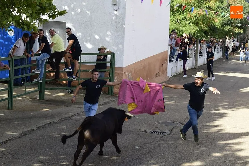 vaquillas aldehuela de yeltes