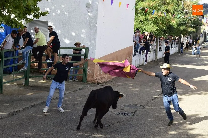 vaquillas aldehuela de yeltes
