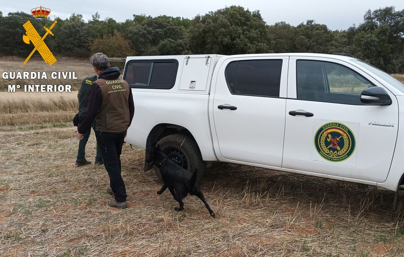 Intervención en la finca de Cantalpino de la Guardia Civil con perros especializados en la búsqueda de venenos, y con la colaboración de agentes medioambientales de la Junta de Castilla y León