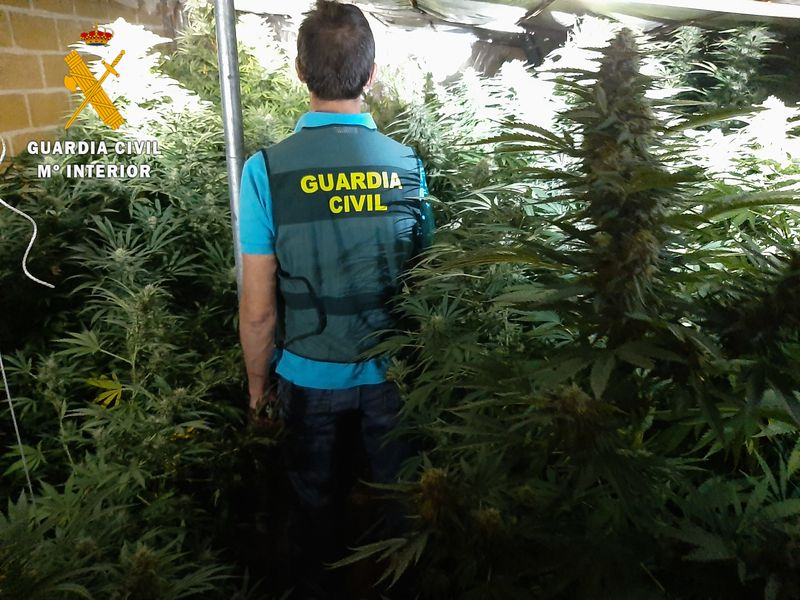 Imágenes de la operación “PAJARÍN”, cuyo objetivo era la investigación de un grupo especializado en la instalación de plantaciones “indoor” para el cultivo de cannabis sativa en la provincia de Salamanca