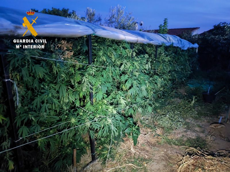 Imágenes de la operación “PAJARÍN”, cuyo objetivo era la investigación de un grupo especializado en la instalación de plantaciones “indoor” para el cultivo de cannabis sativa en la provincia de Salamanca