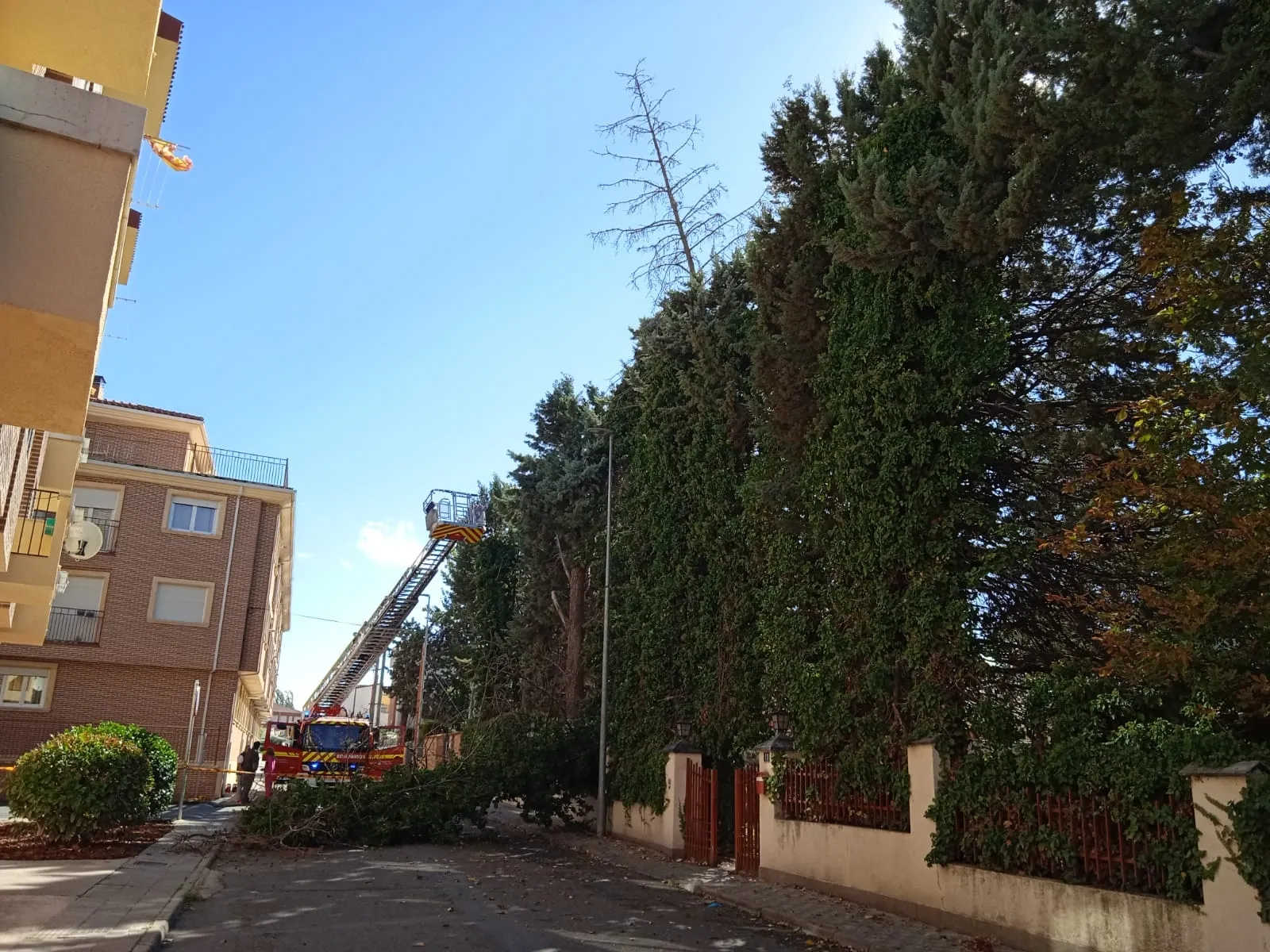 Foto 7 - La ca&iacute;a de un &aacute;rbol encima de varios coches moviliza a Bomberos y Guardia Civil en la Avenida Velazquez 