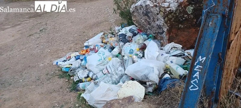 Imagen que desprende la zona de la antigua mina de Golpejas pasado el verano 