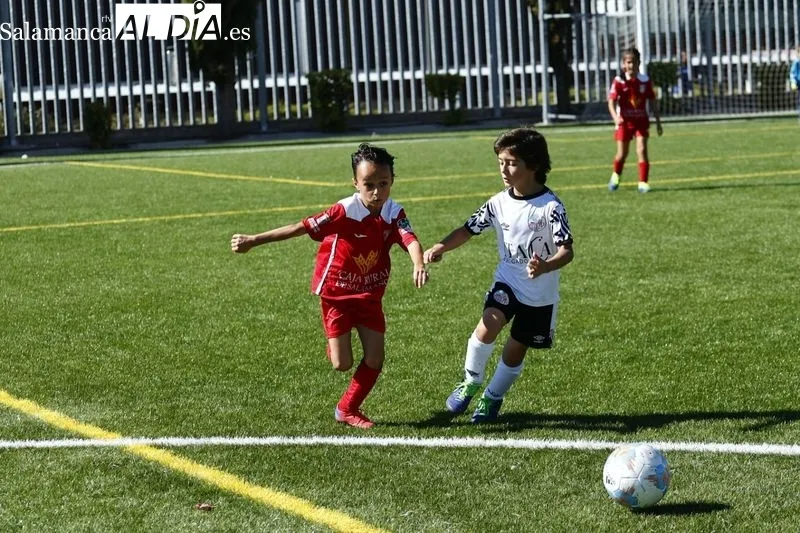 Galería de imágenes del Navega - Salamanca UDS en Primera Prebenjamín / Fotos: David Sañudo