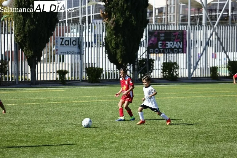 Galería de imágenes del Navega - Salamanca UDS en Primera Prebenjamín / Fotos: David Sañudo