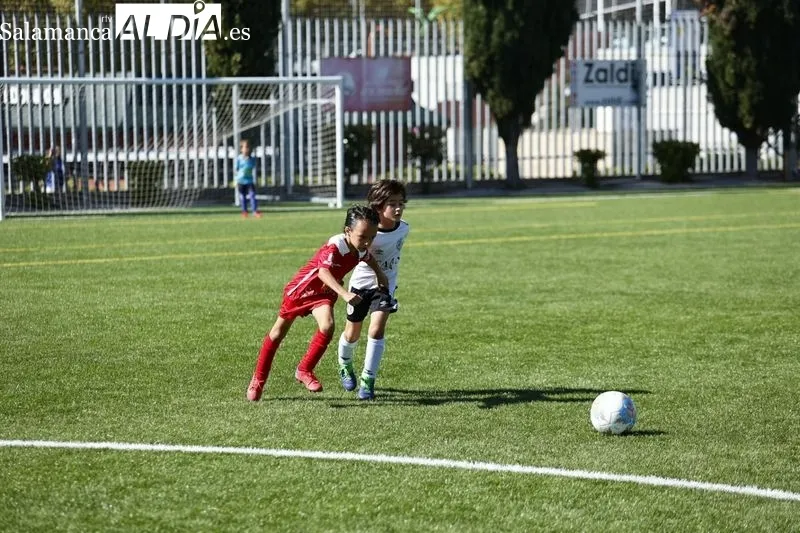 Galería de imágenes del Navega - Salamanca UDS en Primera Prebenjamín / Fotos: David Sañudo