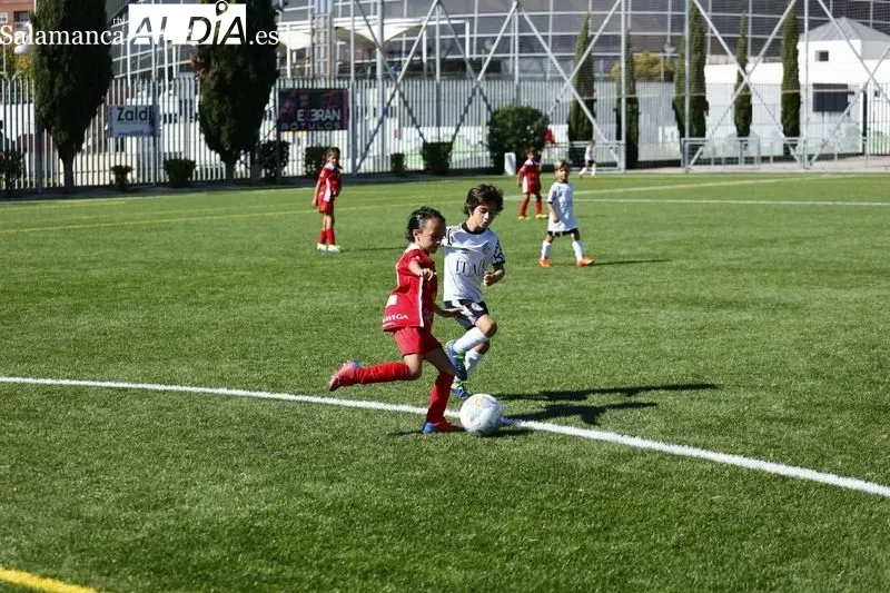 Galería de imágenes del Navega - Salamanca UDS en Primera Prebenjamín / Fotos: David Sañudo