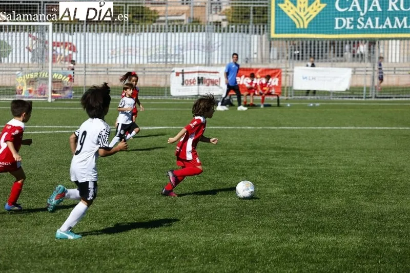 Galería de imágenes del Navega - Salamanca UDS en Primera Prebenjamín / Fotos: David Sañudo