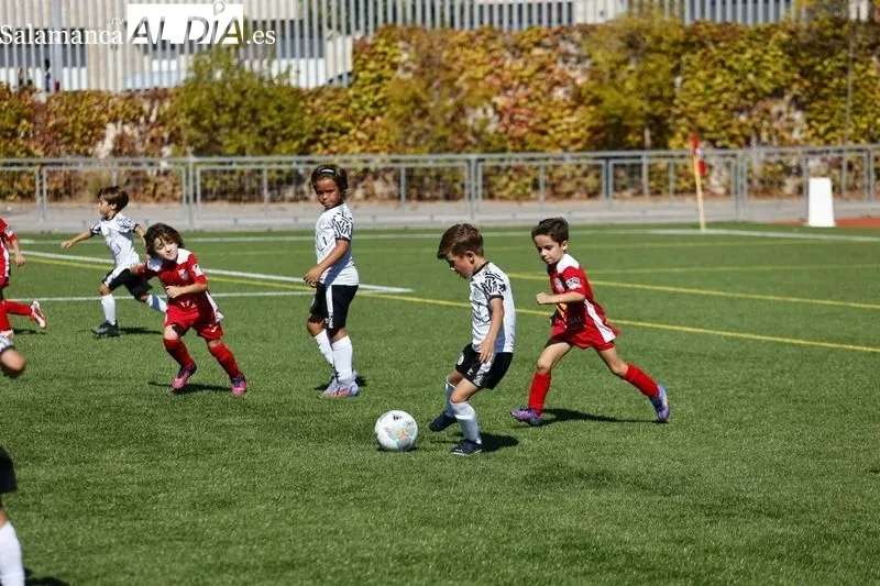 Galería de imágenes del Navega - Salamanca UDS en Primera Prebenjamín / Fotos: David Sañudo