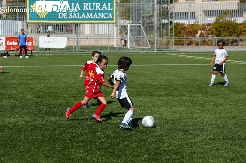 Galería de imágenes del Navega - Salamanca UDS en Primera Prebenjamín / Fotos: David Sañudo