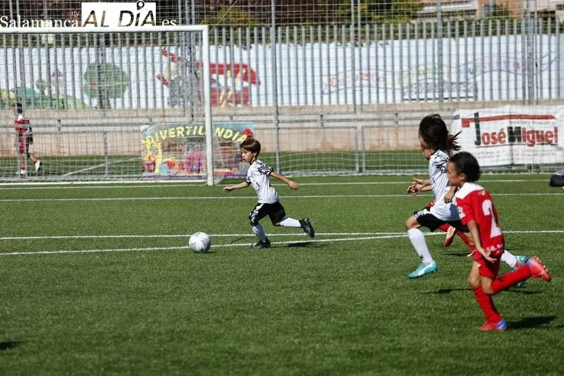 Galería de imágenes del Navega - Salamanca UDS en Primera Prebenjamín / Fotos: David Sañudo