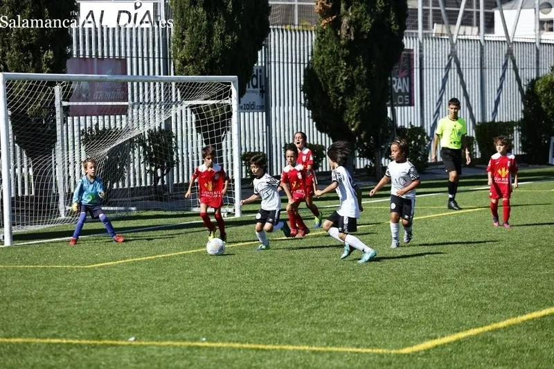 Galería de imágenes del Navega - Salamanca UDS en Primera Prebenjamín / Fotos: David Sañudo