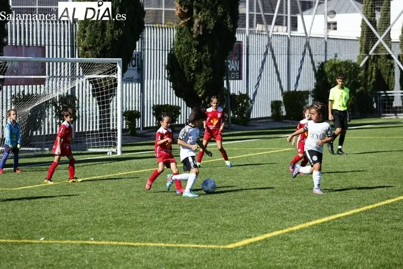Galería de imágenes del Navega - Salamanca UDS en Primera Prebenjamín / Fotos: David Sañudo