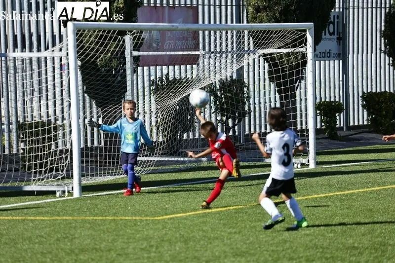 Galería de imágenes del Navega - Salamanca UDS en Primera Prebenjamín / Fotos: David Sañudo