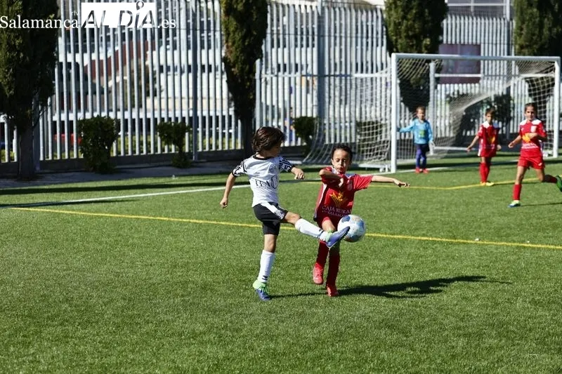 Galería de imágenes del Navega - Salamanca UDS en Primera Prebenjamín / Fotos: David Sañudo