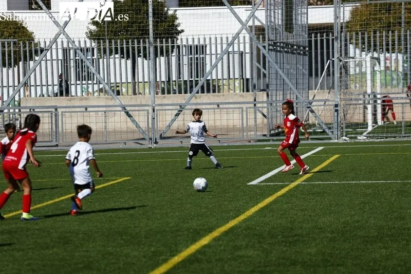 Galería de imágenes del Navega - Salamanca UDS en Primera Prebenjamín / Fotos: David Sañudo