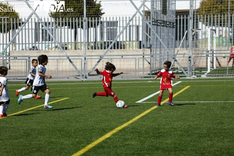 Galería de imágenes del Navega - Salamanca UDS en Primera Prebenjamín / Fotos: David Sañudo