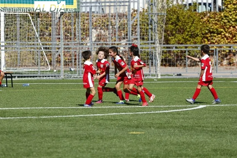Galería de imágenes del Navega - Salamanca UDS en Primera Prebenjamín / Fotos: David Sañudo