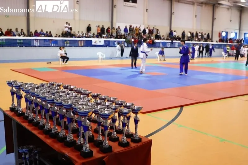 Galería de imágenes del Campeonato Internacional de Judo / Fotos: David Sañudo