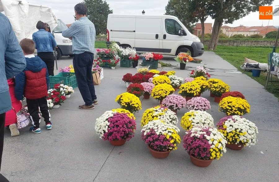 Foto 5 - El D&iacute;a de Todos los Santos da colorido extra al mercadillo sabatino