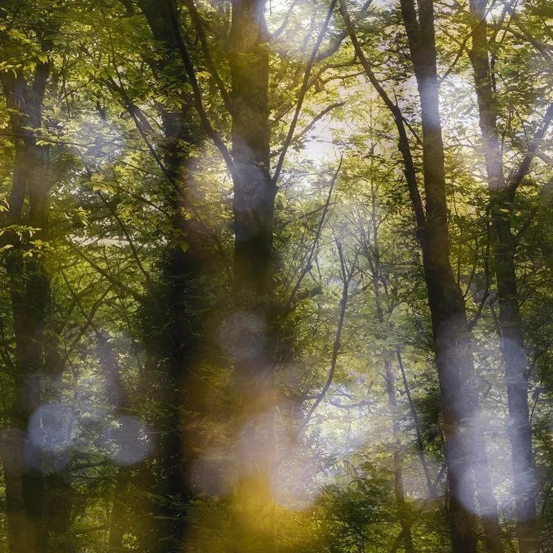 Fotografía obtenida en la edición 2021 de NATURCÔA