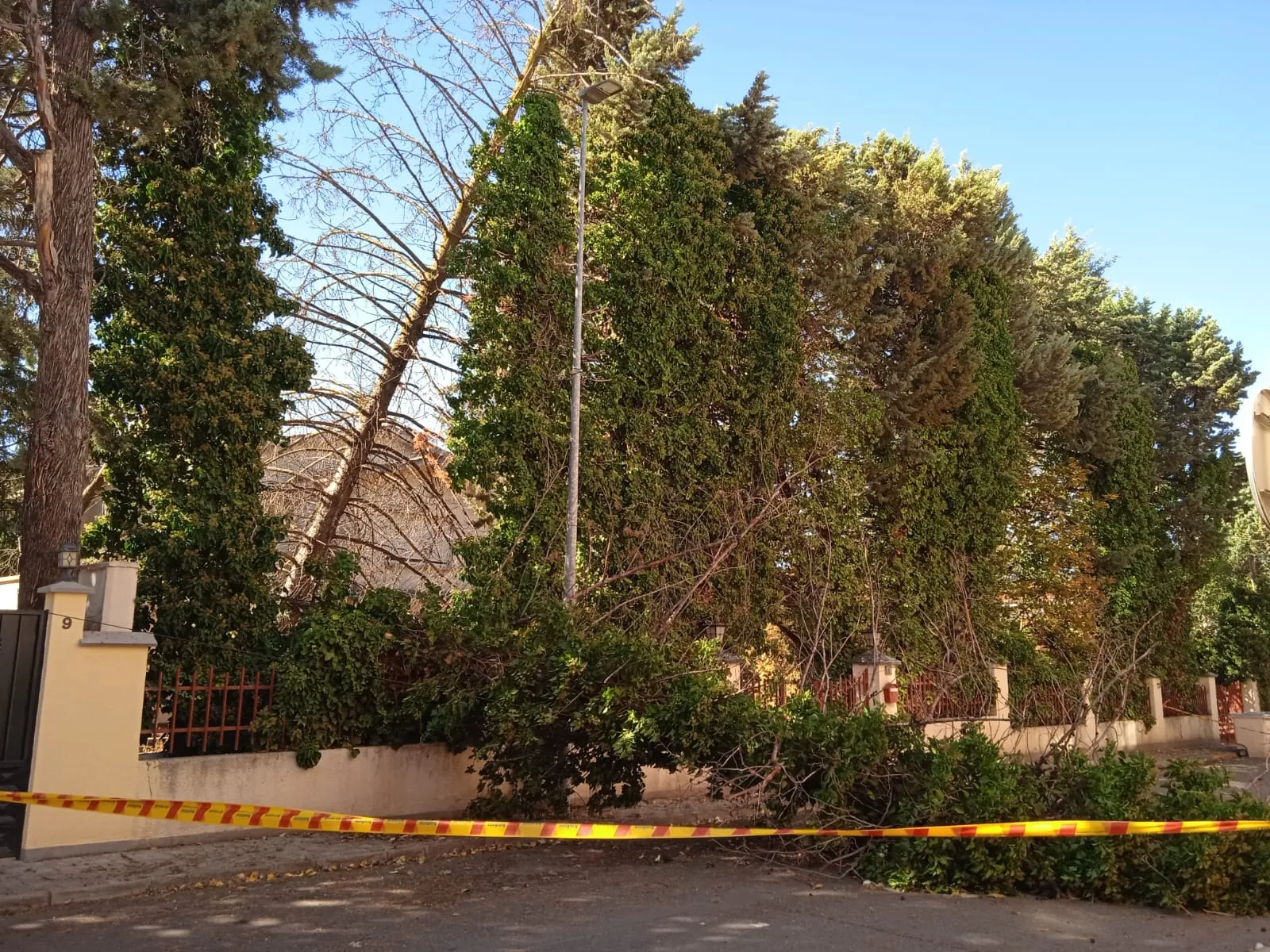 Foto 6 - La ca&iacute;a de un &aacute;rbol encima de varios coches moviliza a Bomberos y Guardia Civil en la Avenida Velazquez 