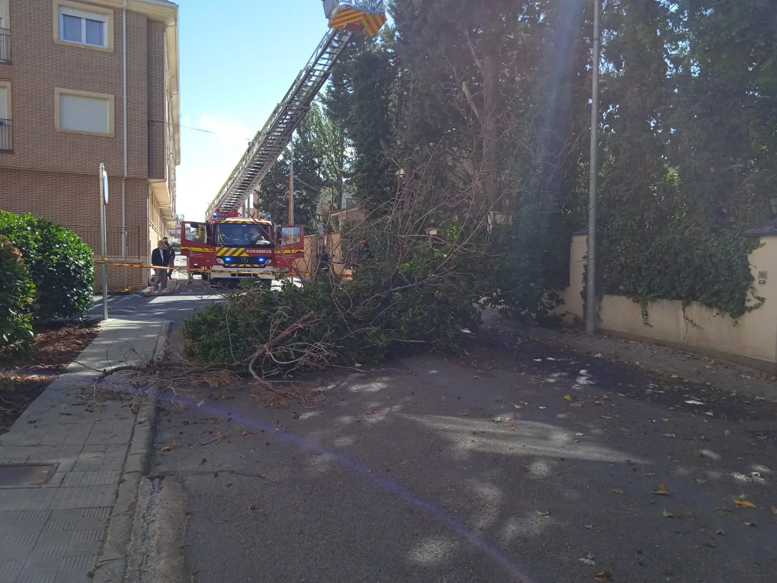 Foto 3 - La ca&iacute;a de un &aacute;rbol encima de varios coches moviliza a Bomberos y Guardia Civil en la Avenida Velazquez 