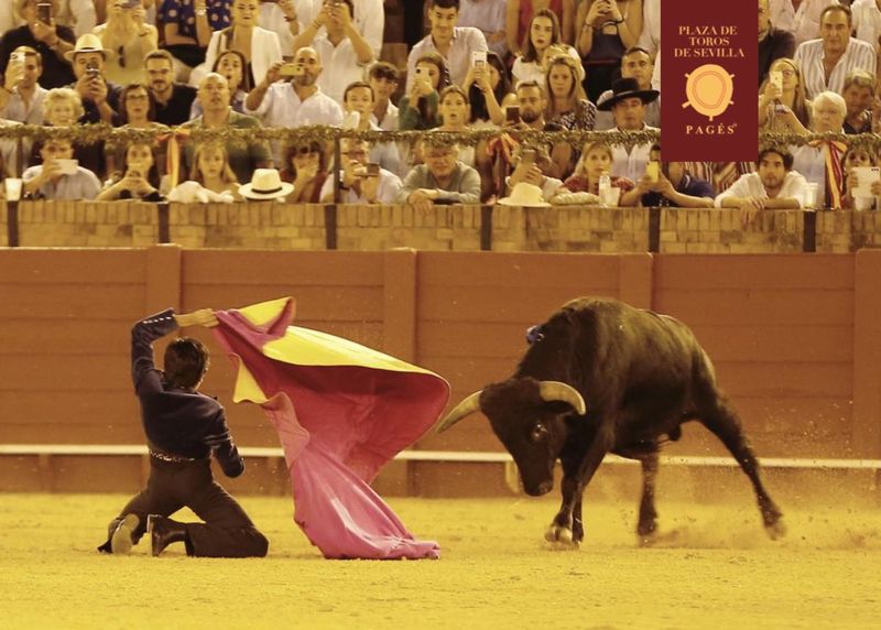 Foto 5 - Marco Pérez arrasa en Sevilla: dos orejas y rabo