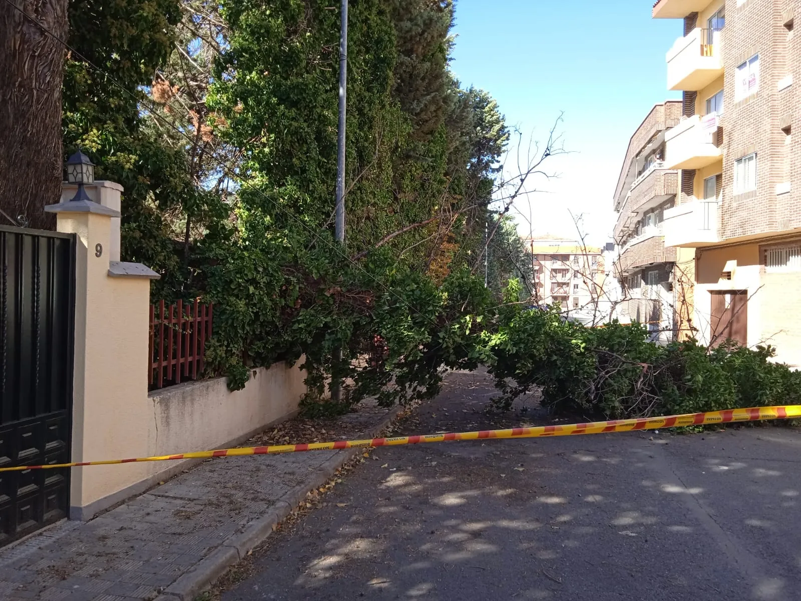 Foto 5 - La ca&iacute;a de un &aacute;rbol encima de varios coches moviliza a Bomberos y Guardia Civil en la Avenida Velazquez 