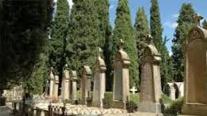 Foto 1 - Motivo de plantar cipreses en los cementerios