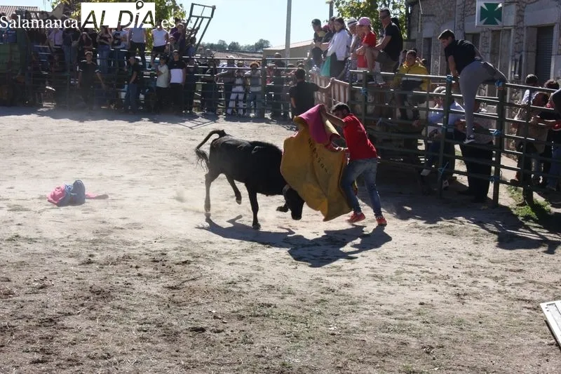 Foto 6 - Una capea de vaquillas pone emoci&oacute;n a las fiestas de las Madrinas en Cabeza del Caballo