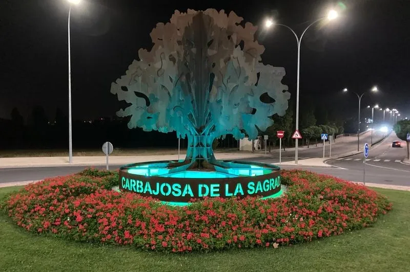 Rotondas de acceso a Carbajosa de la Sagrada iluminadas de verde