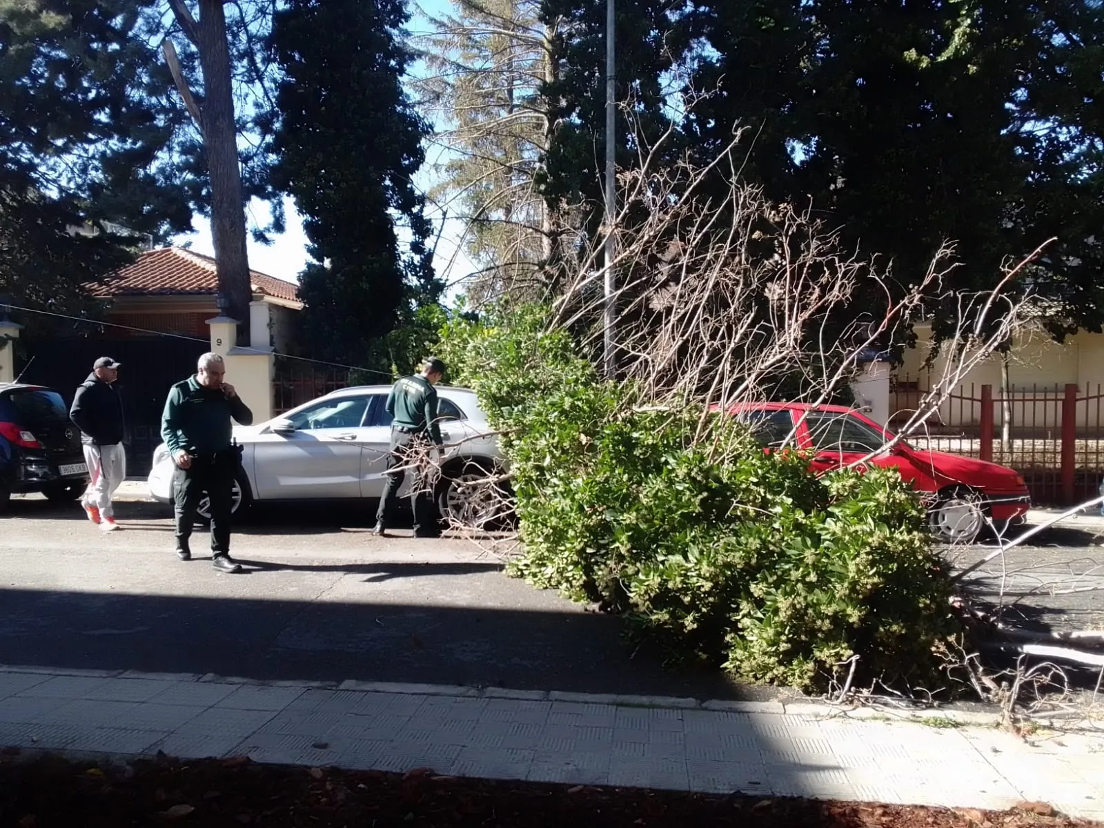 Cae un arbol sobre varios coches en la Avenida Velazquez 