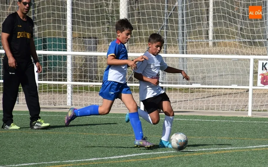 Foto 11 - #M | 8-9 OCT | Pl&aacute;cida ma&ntilde;ana para el Alev&iacute;n A del Ciudad Rodrigo ante Do&ntilde;inos