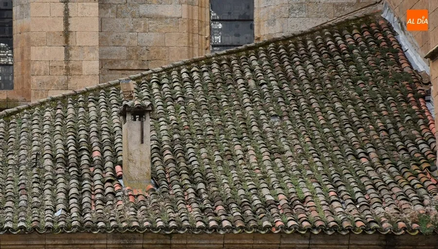 Foto 6 - La Junta restaura con 430.000&euro; de fondos europeos las cubiertas de la sacrist&iacute;a y antesacrist&iacute;a de la Seo