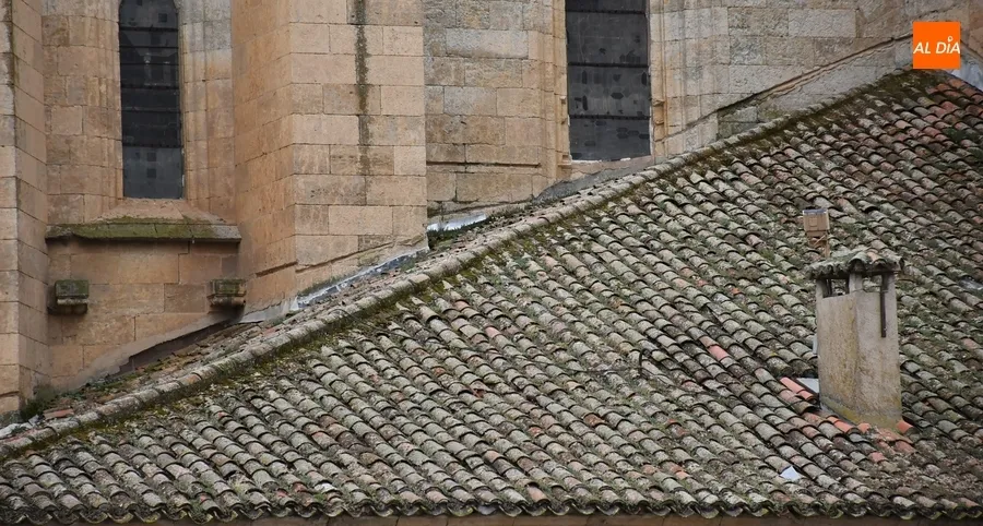 Foto 5 - La Junta restaura con 430.000&euro; de fondos europeos las cubiertas de la sacrist&iacute;a y antesacrist&iacute;a de la Seo