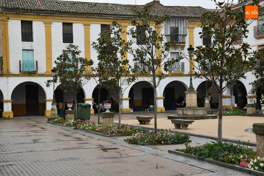 Foto 9 - At&iacute;pico lunes con mercado de los martes a cubierto, sin cole, con turistas y bastantes coches