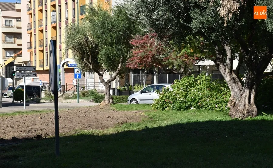 Foto 10 - Recolocados en varios puntos los elementos verdes retirados de la Avenida de Espa&ntilde;a y El Cruce