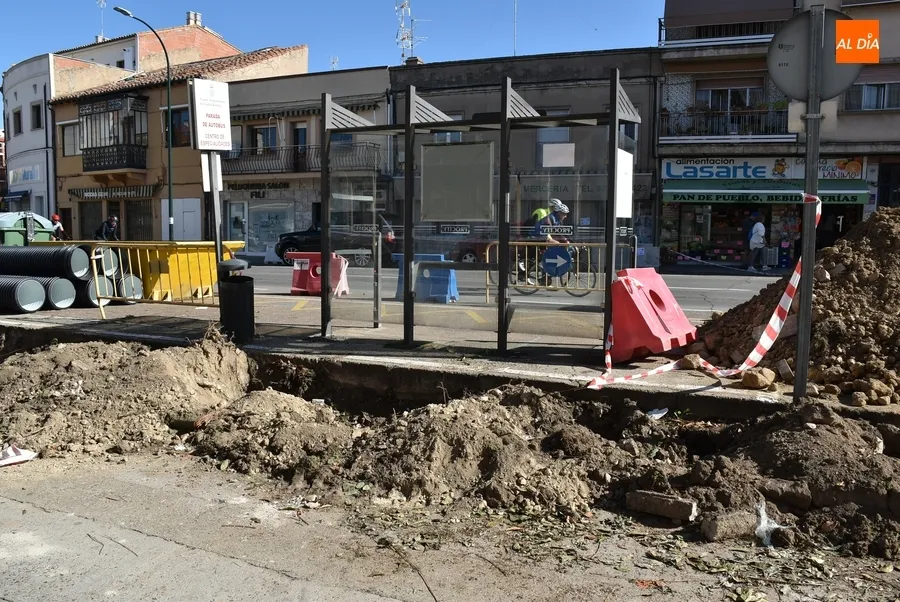 Foto 7 - Recolocados en varios puntos los elementos verdes retirados de la Avenida de Espa&ntilde;a y El Cruce