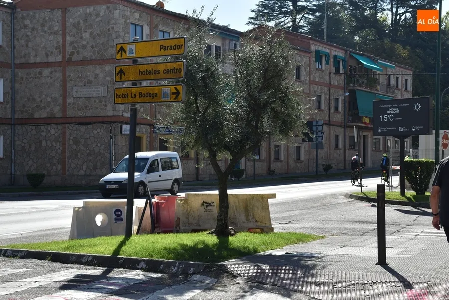Foto 6 - Recolocados en varios puntos los elementos verdes retirados de la Avenida de Espa&ntilde;a y El Cruce