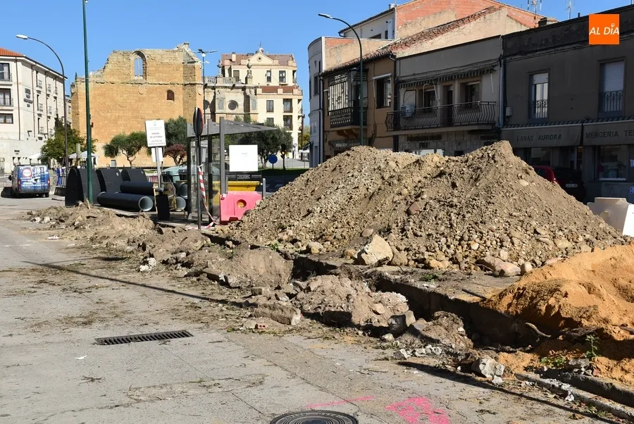 Foto 5 - Recolocados en varios puntos los elementos verdes retirados de la Avenida de Espa&ntilde;a y El Cruce