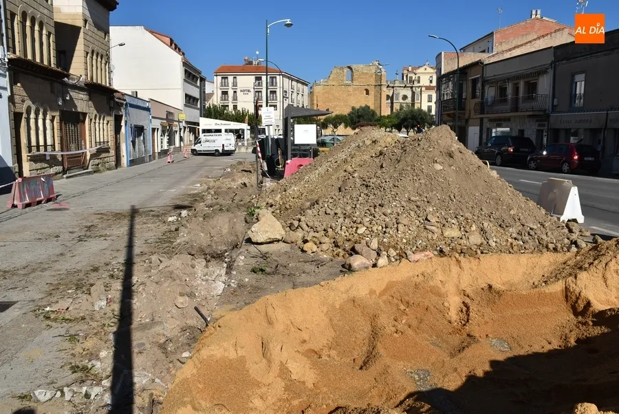 Foto 4 - Recolocados en varios puntos los elementos verdes retirados de la Avenida de Espa&ntilde;a y El Cruce