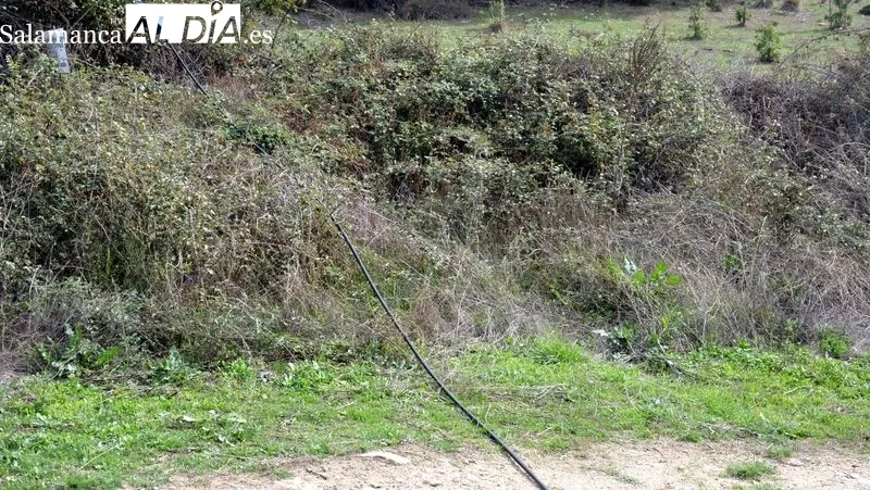 El cable de fibra está en el suelo atravesando un camino agrícola