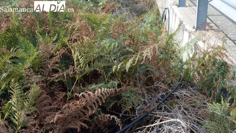 El cable de fibra está en el suelo atravesando un camino agrícola