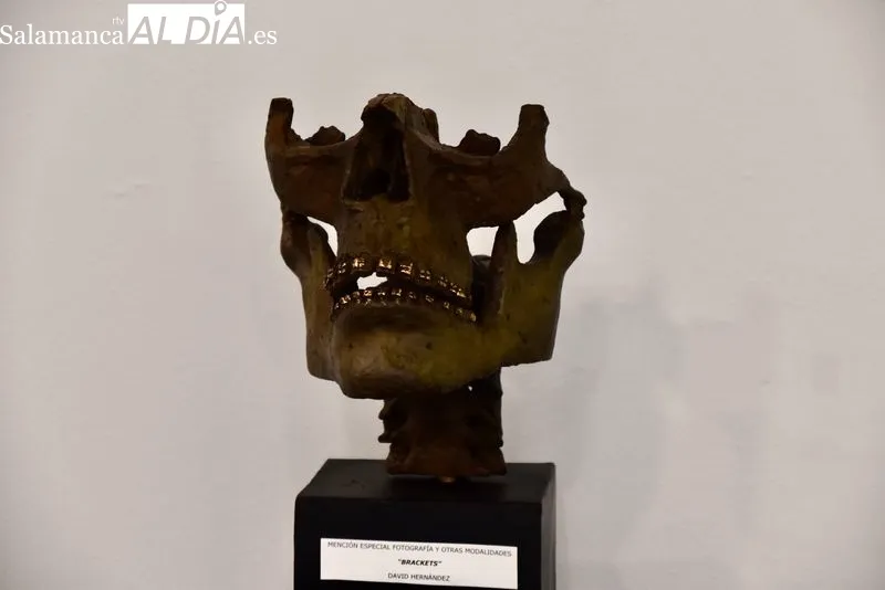 La Sala Unamuno acoge una exposición con los mejores trabajos de la última edición del certamen 'Arte Joven' de Castilla y León. Foto de Vanesa Martins