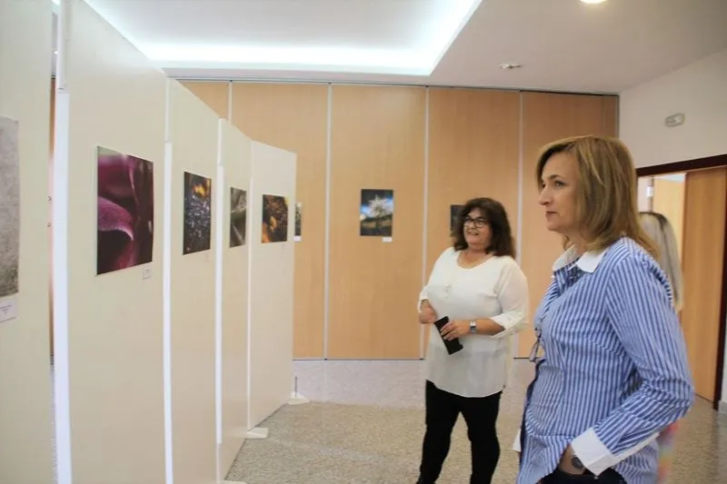 Actividades por el Día de la Biblioteca en Carbajosa de la Sagrada