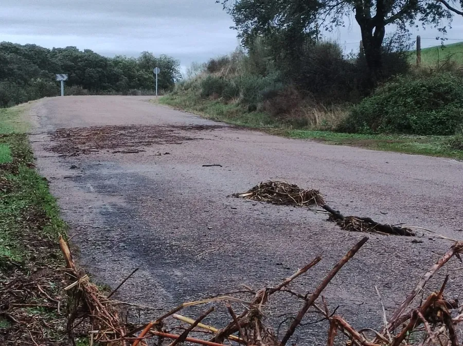 Foto 7 - La intensa lluvia causa problemas en la carretera del Pantano