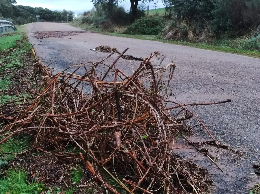 Foto 5 - La intensa lluvia causa problemas en la carretera del Pantano