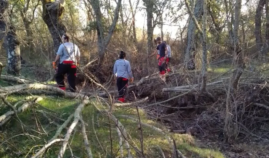 Foto 3 - Arrancan las pr&aacute;cticas en el monte de los alumnos de la acci&oacute;n de apeo de &aacute;rboles con motosierra